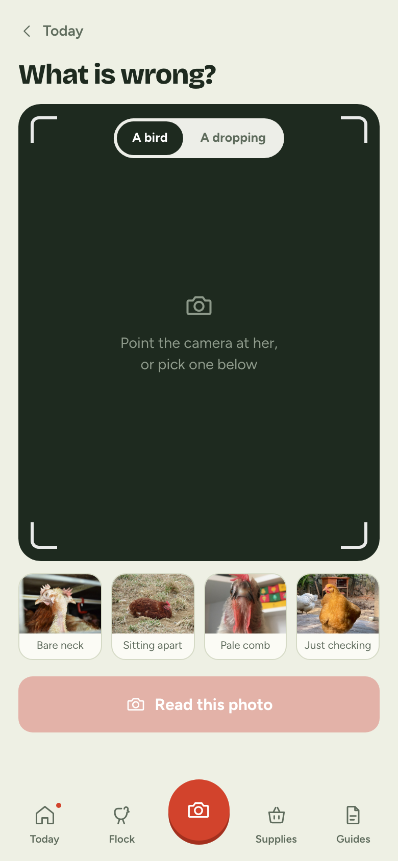 The Cooply camera screen