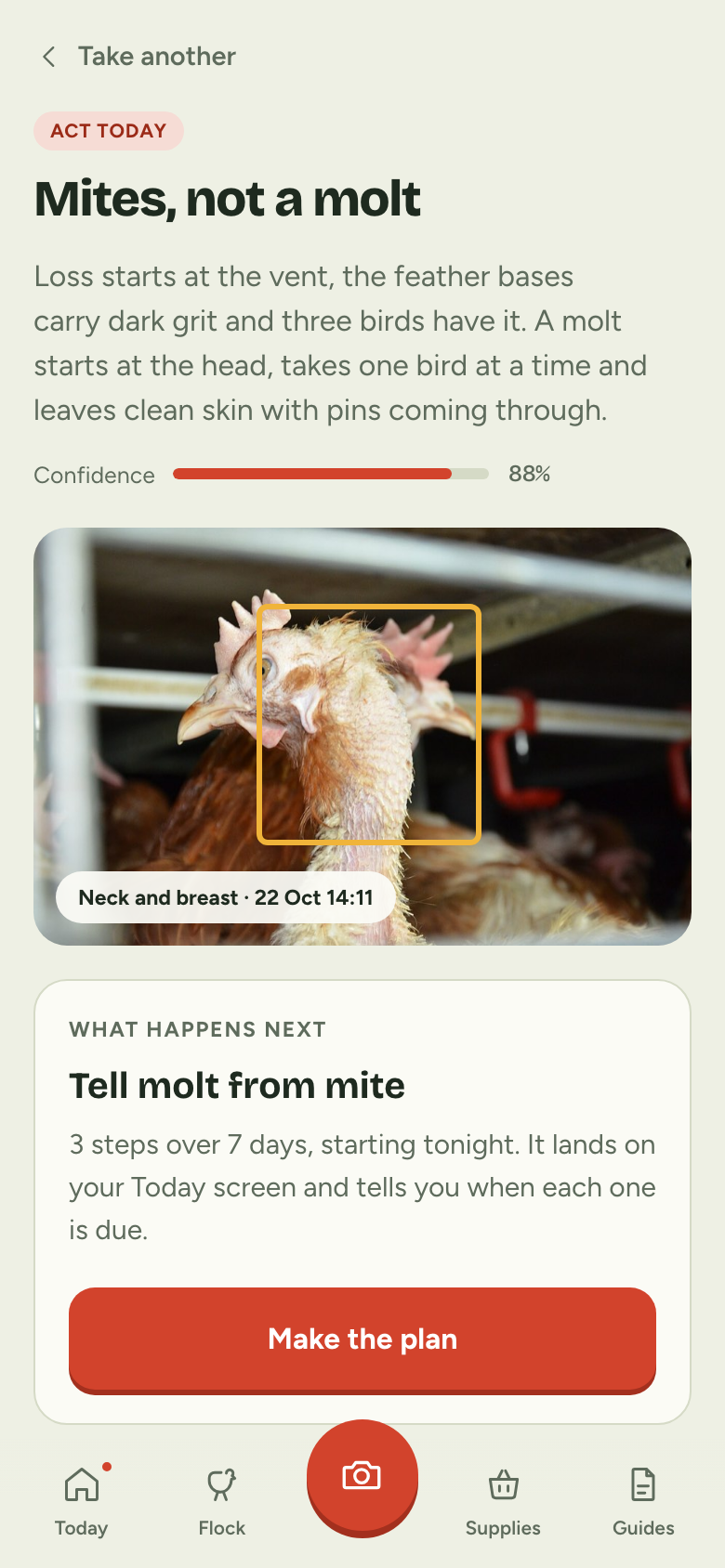 Cooply reading a photo and saying it is mites, not a molt, with the plan underneath