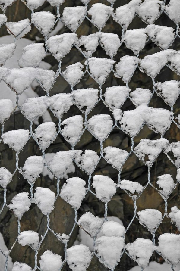 Snow on the coop wire
