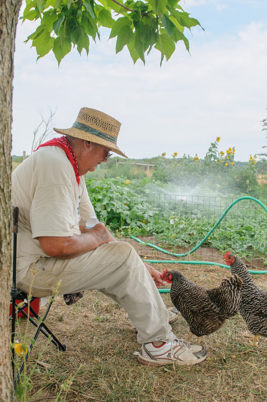 A keeper in the garden with his flock